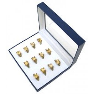 12-PC CZ Rings w/ Square Rhodium Plated - Assorted Size -RN-CQR1002G